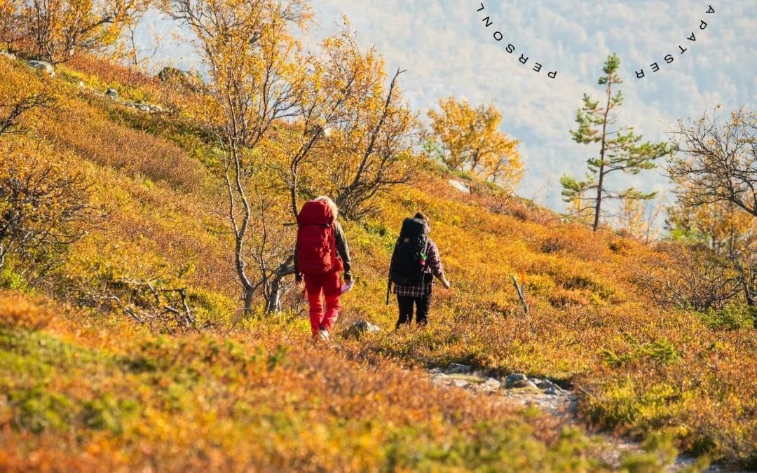 Puls establishes itself in Vemdalen